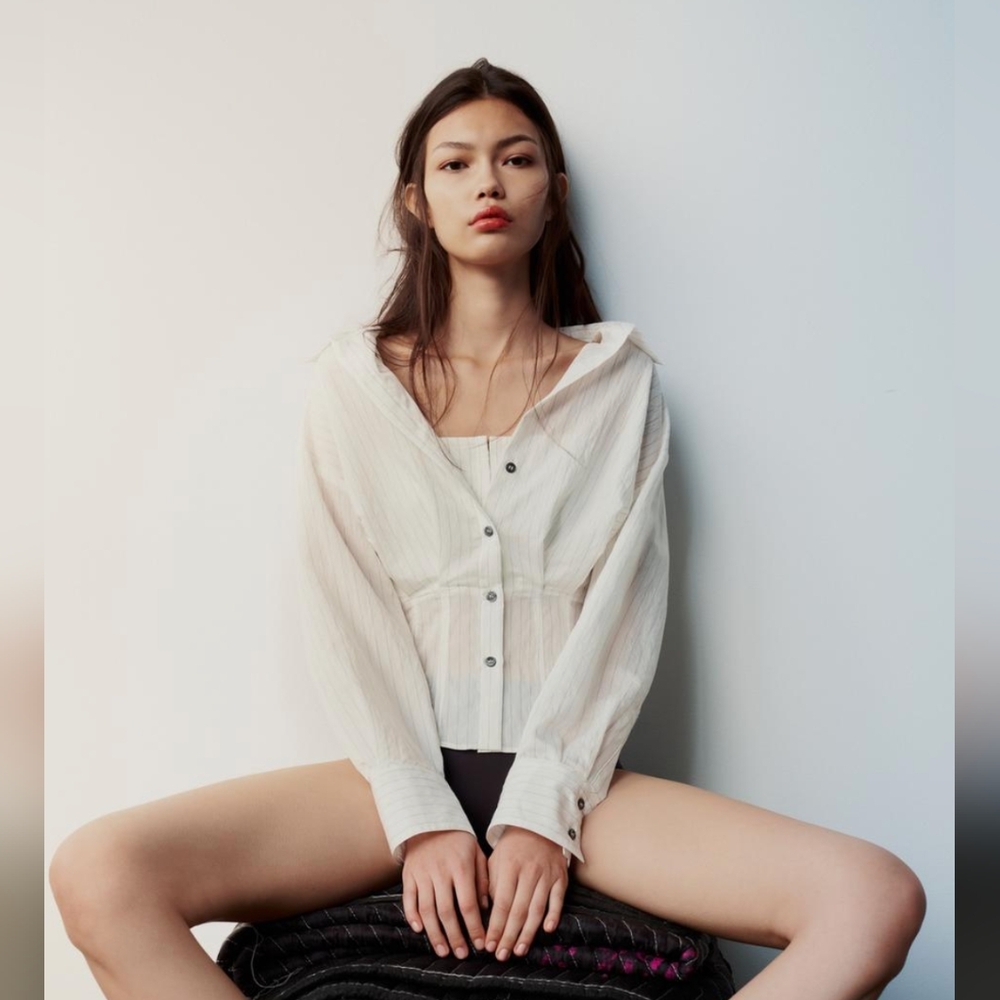 Zara Tailored Striped Blouse